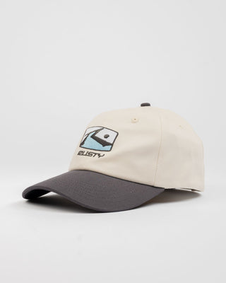 Mens Division Dad Cap in Coal 1