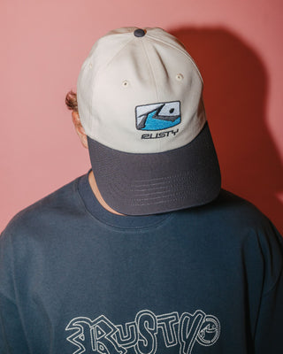 Mens Division Dad Cap in Coal 1