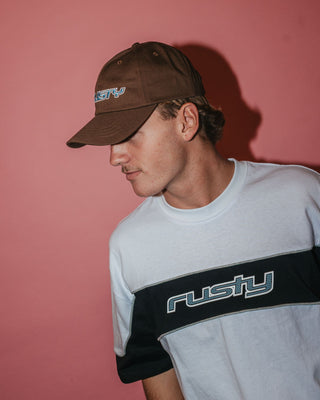 Mens Reverb Dad Cap in Pinecone