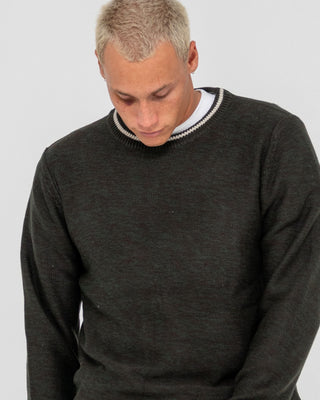 Man wearing Skyliner Tipped Crew in Green Gables